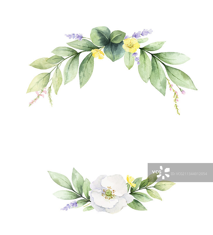 水彩野花花环图片素材