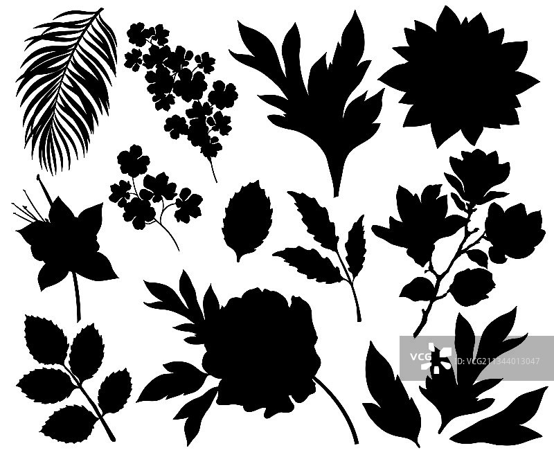 花卉树叶剪影合集图片素材