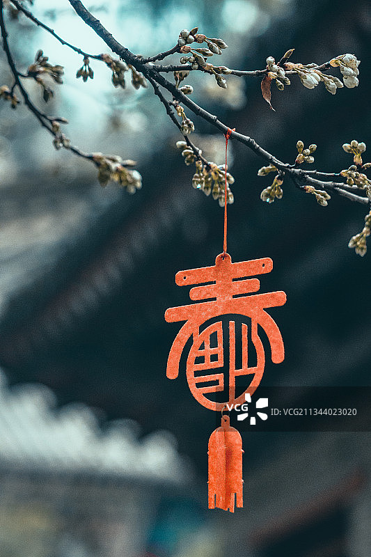 西安护国兴教寺佛教特写春节图片素材