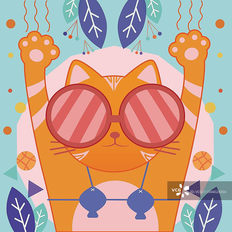 夏日喵喵图片素材