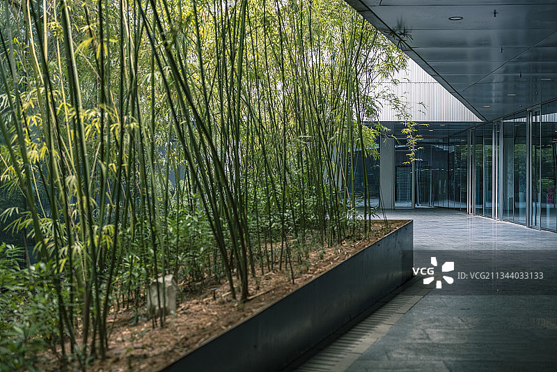 深圳雅昌艺术中心图片素材