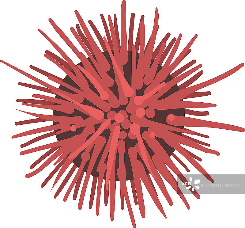 水下海洋生物海胆卡通图片素材