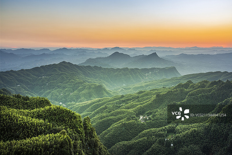 秀丽竹海图片素材