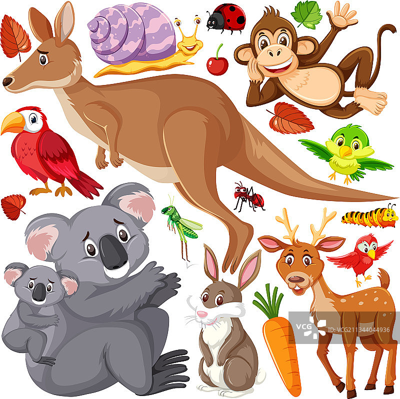 可爱野生动物无缝图案图片素材