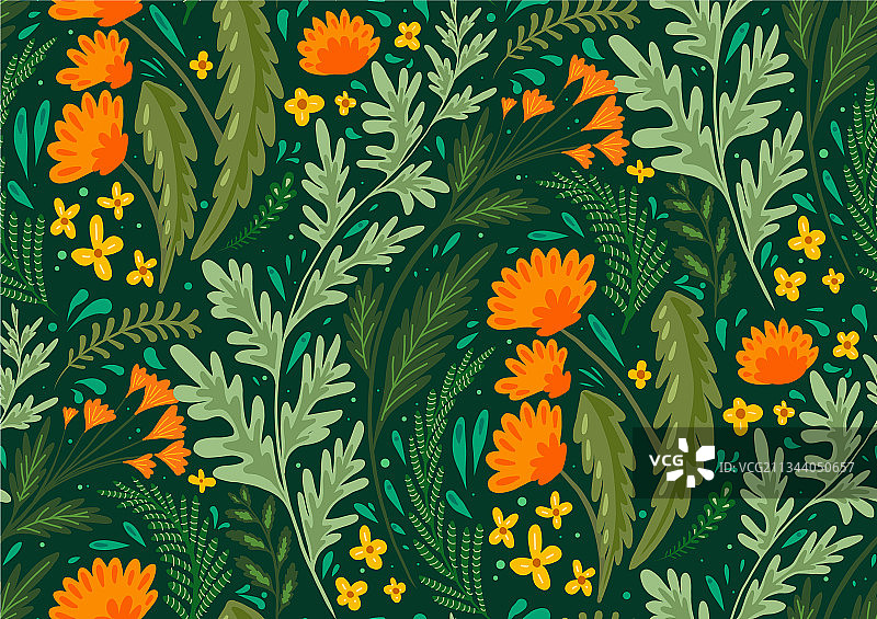 草本植物自然图案图片素材