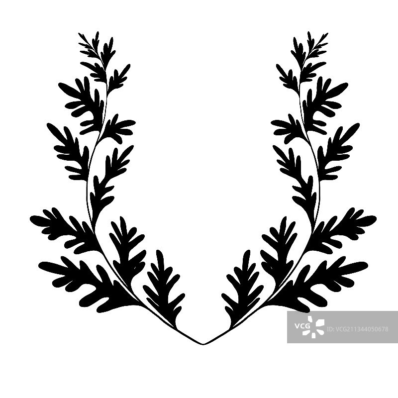 黑色轮廓蒿草本植物框架图片素材