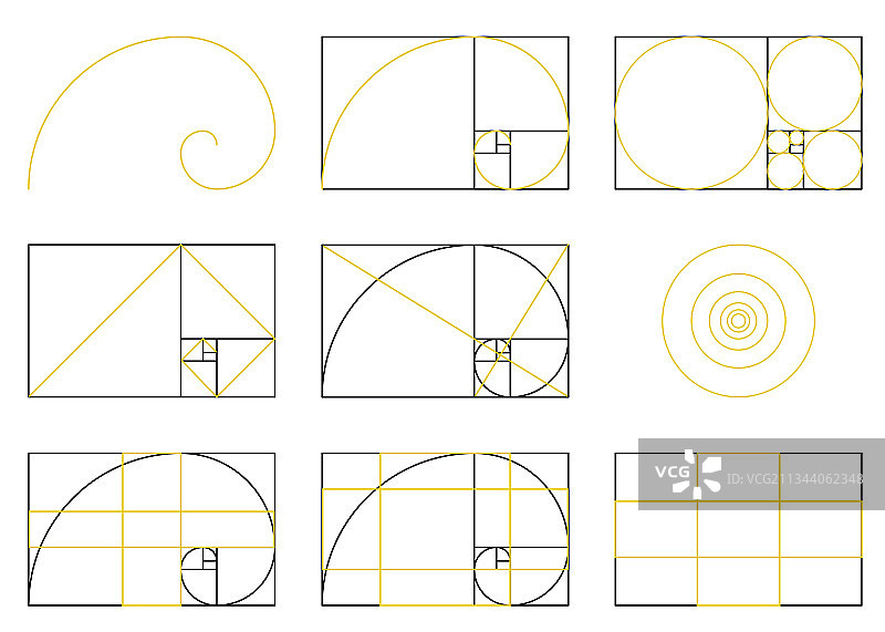 黄金比例螺旋方案比例扁平设计图片素材