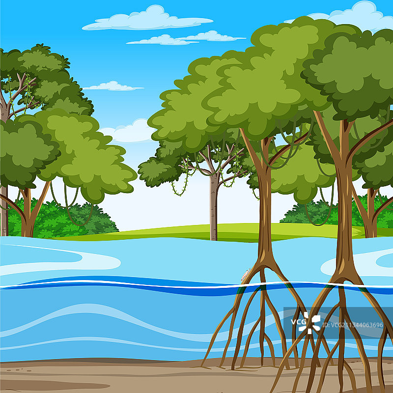 卡通风格红树林自然场景图片素材