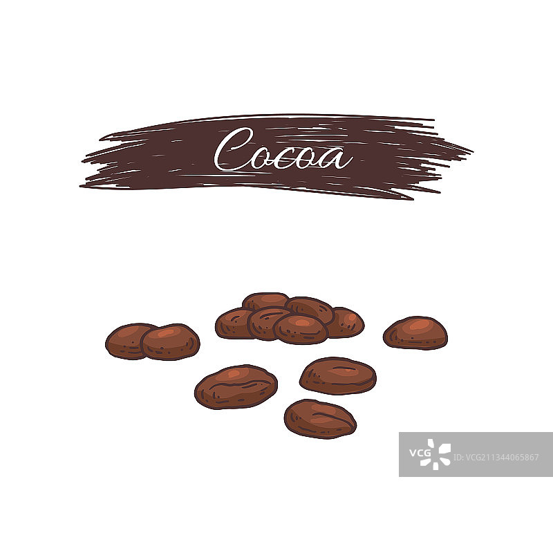 雕刻风格的可可种子图片素材