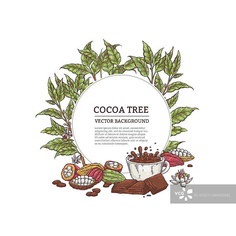 带叶子和果实的可可树框架雕刻图片素材