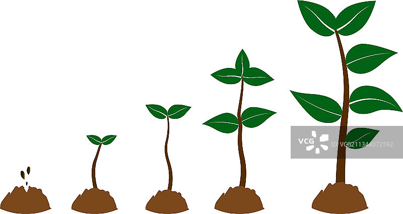 植物生长图片素材