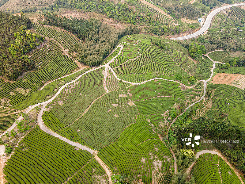 南平建瓯 茶山航拍 丘陵图片素材