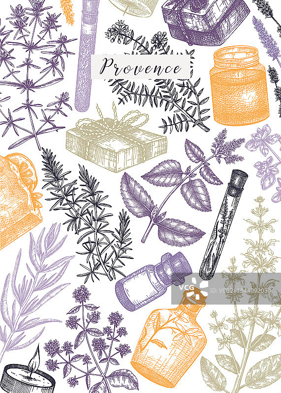 手绘传统普罗旺斯香草设计图片素材