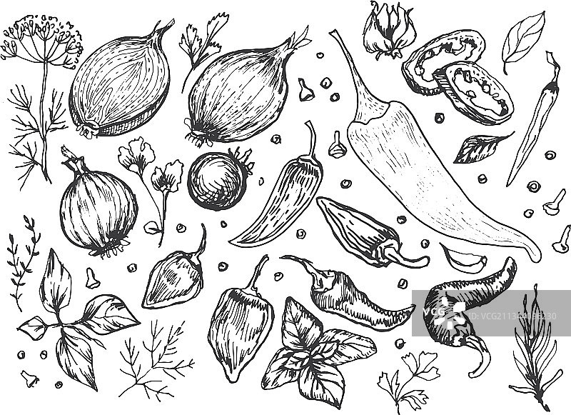 烹饪用香料：大蒜、蔬菜和草药图片素材