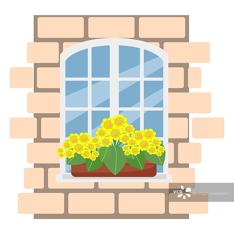 砖墙窗户上的黄色花朵盒子图片素材