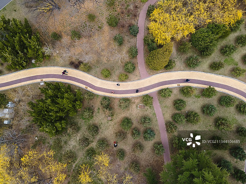 航拍大连 劳动公园 春图片素材