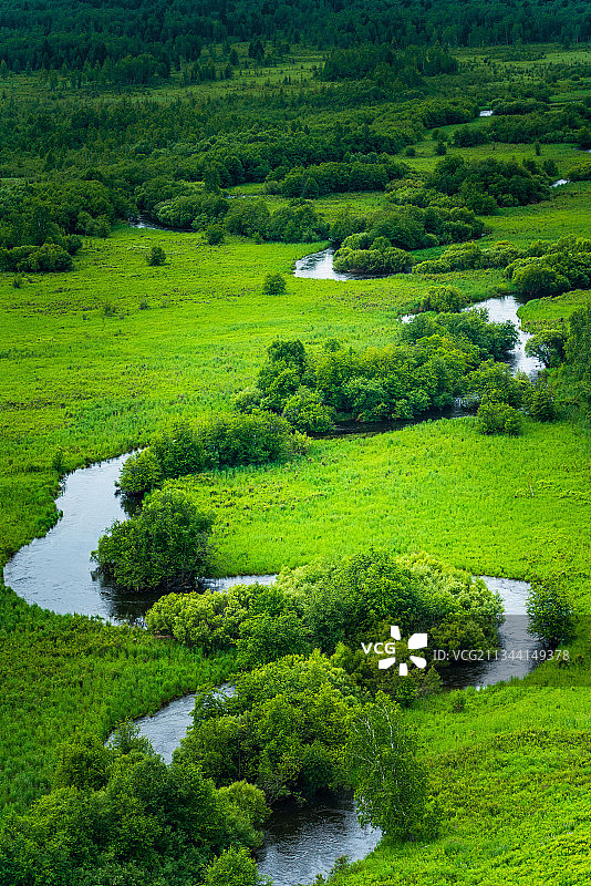根河, 湿地, 呼伦贝尔, 内蒙古, 夏天图片素材