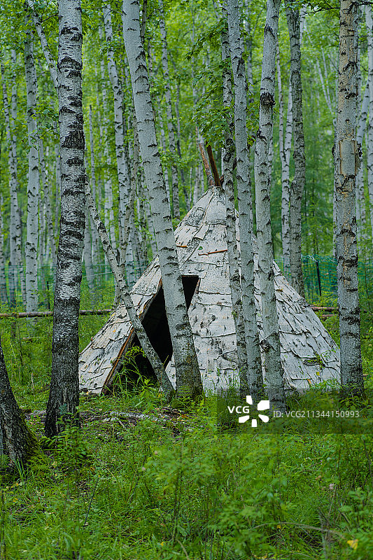 希楞柱, 鄂温克族, 大兴安岭, 驯鹿, 住所图片素材