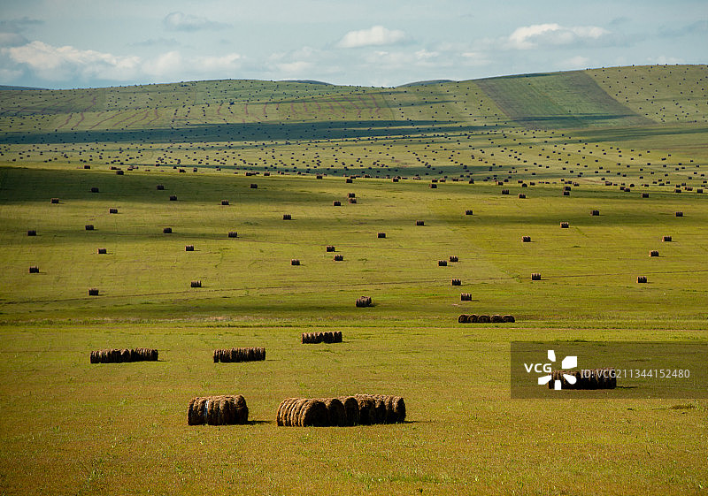 呼伦贝尔赏壮丽草卷正当时图片素材