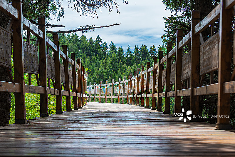林中栈道图片素材