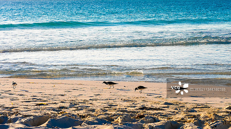 沙滩上的五线谱图片素材