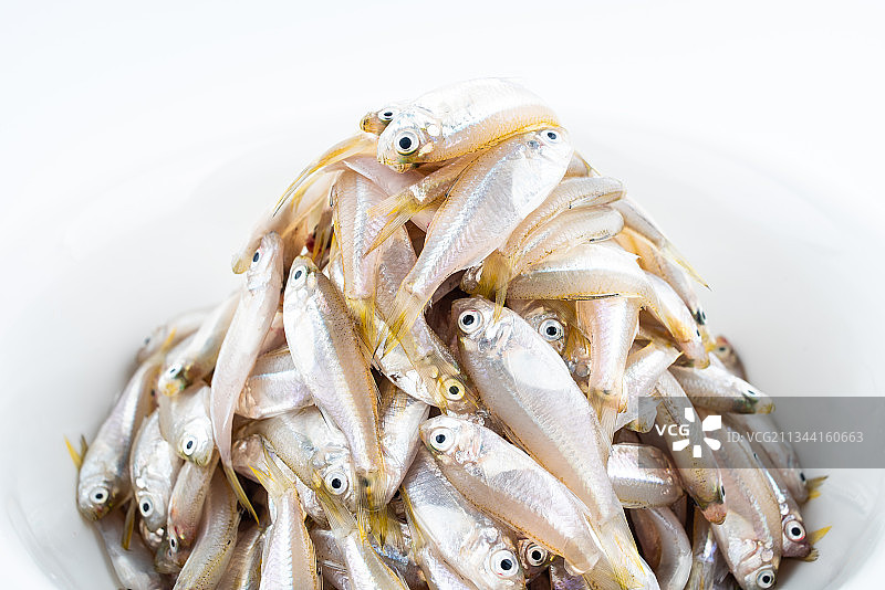 新鲜小海鱼杉亚鱼图片素材