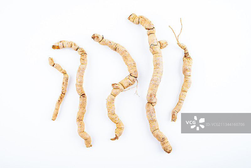 白背景上的新鲜中药材巴戟天图片素材
