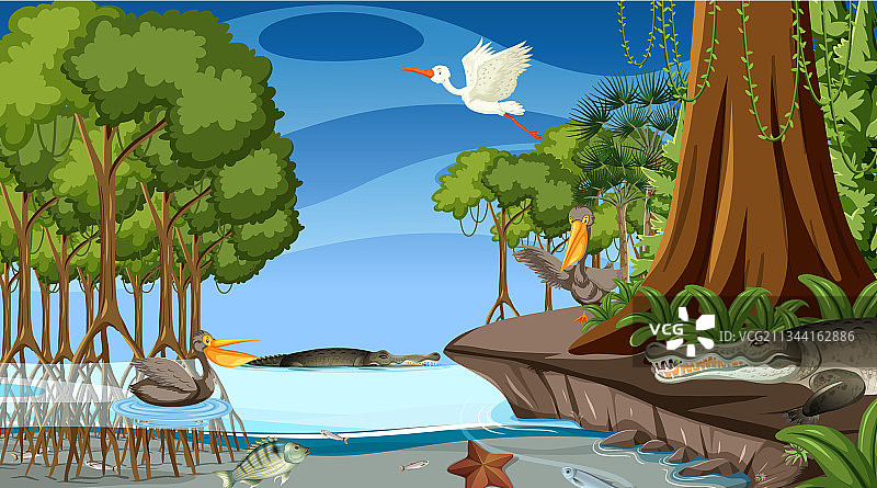 夜幕下红树林中的动物图片素材