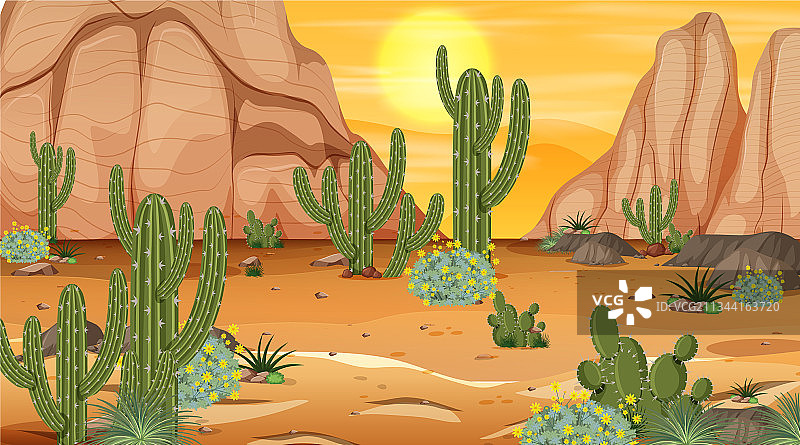 日落时分的沙漠森林景观图片素材