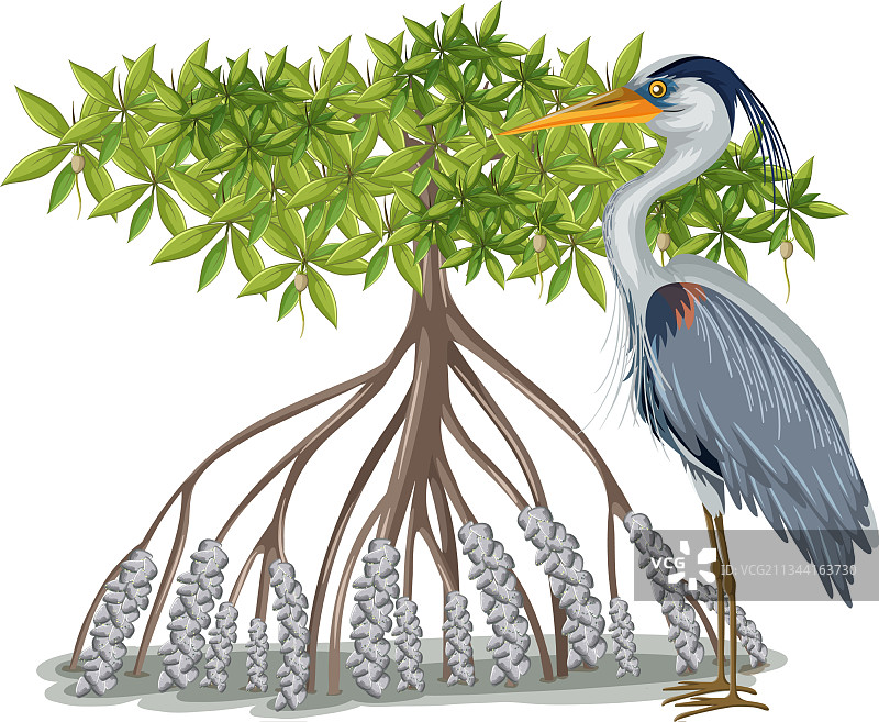 卡通中的红树林大蓝鹭图片素材