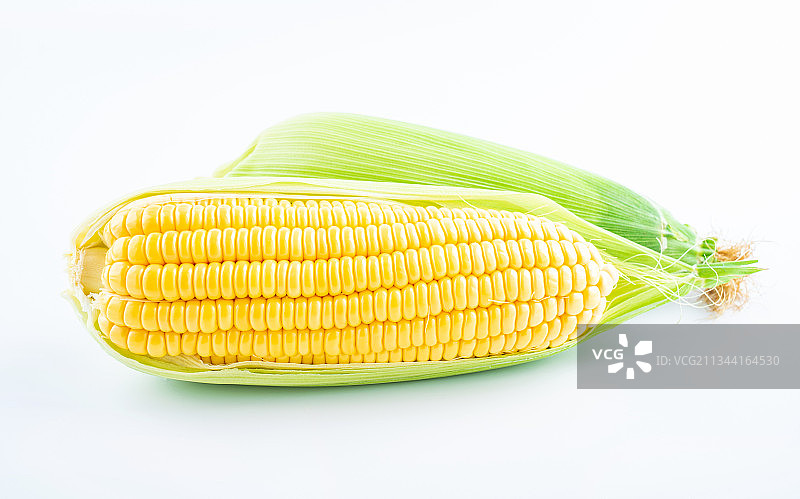 白背景上一条新鲜玉米图片素材