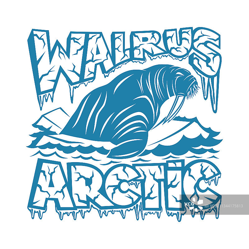 浮冰上的海象图标图片素材