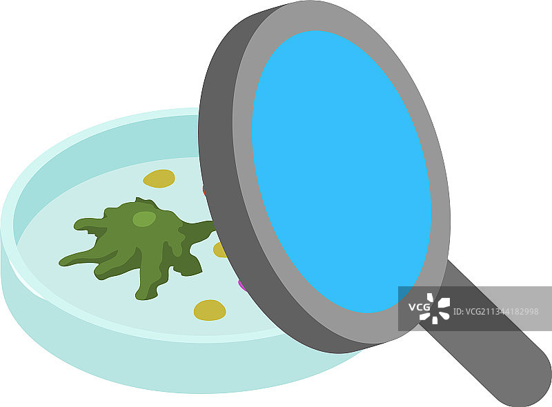 微生物学图标2.5D培养皿图片素材