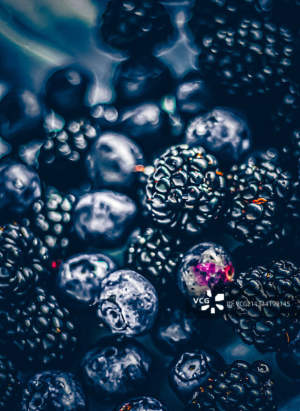 蓝莓的完整画面图片素材