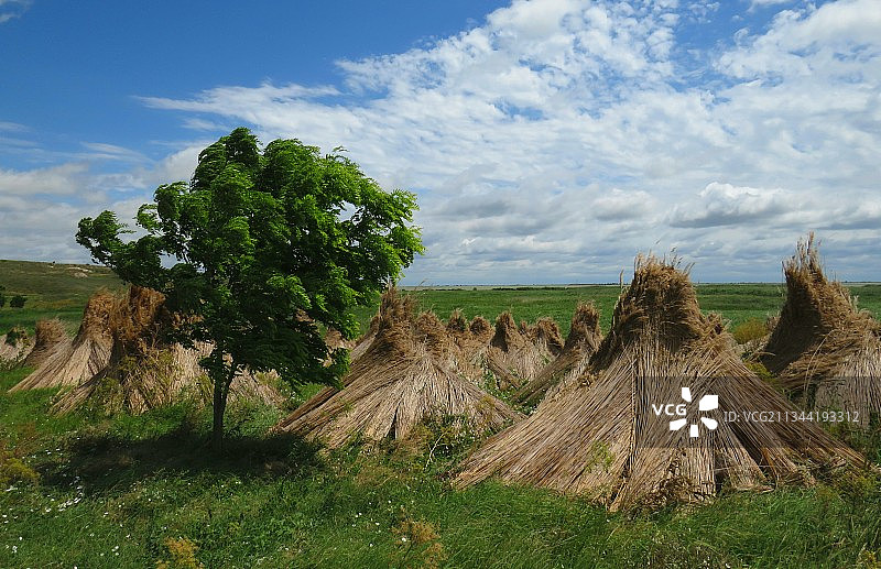 田野全景图片素材