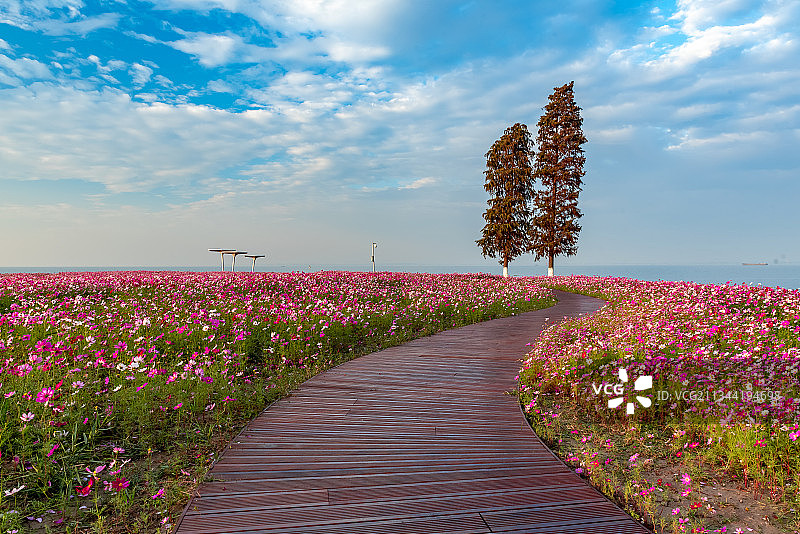 苏州淀山湖图片素材