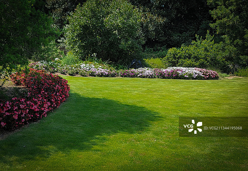 美国南卡罗来纳州皮肯斯县公园的开花植物景观图片素材