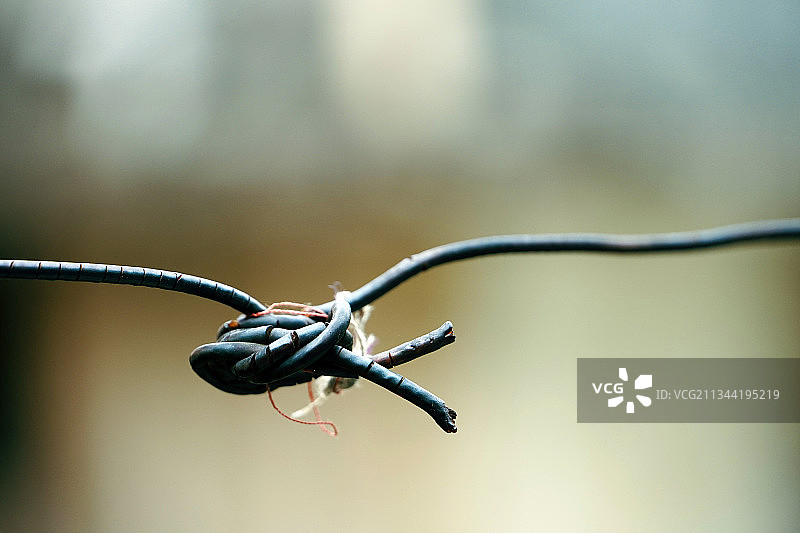 印度泰米尔纳德邦钦奈的带刺铁丝网特写图片素材