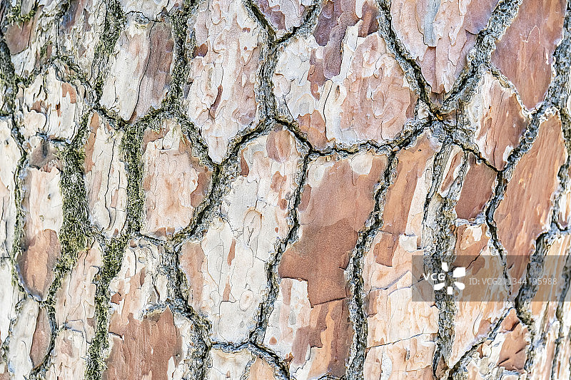 饱经风雨的墙的全框架镜头图片素材