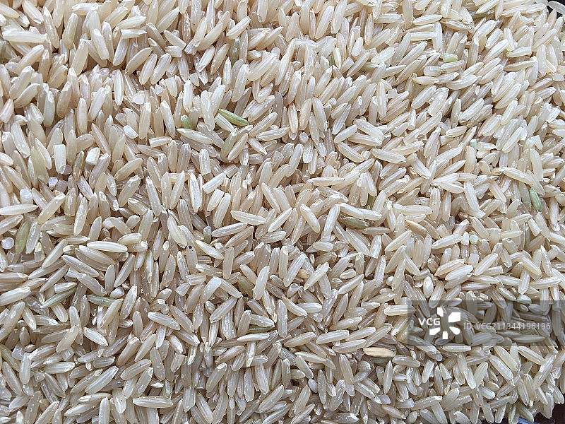 稻米全画幅照片图片素材