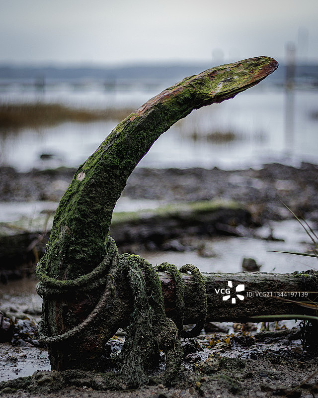 搁浅在英国罗伊斯顿奥韦尔海滩边的旧锚图片素材