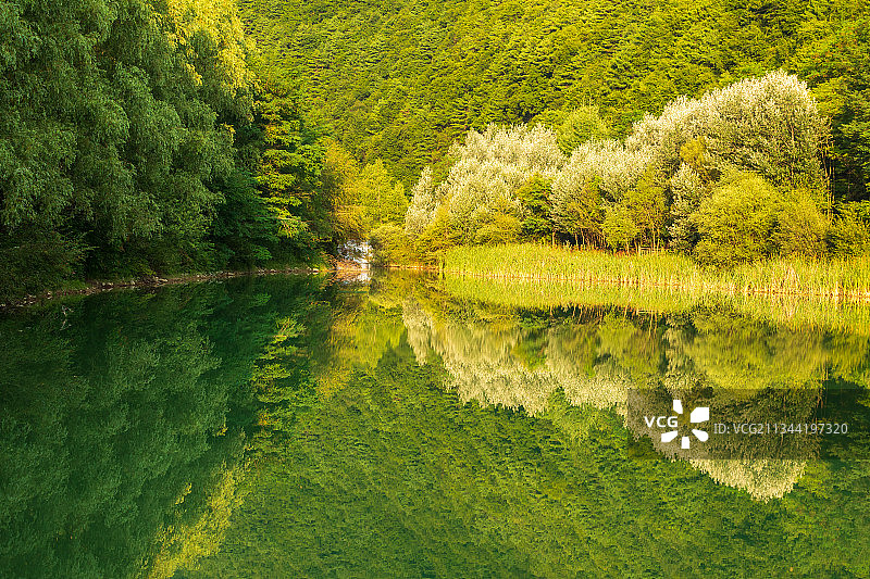 绝美倒影图片素材