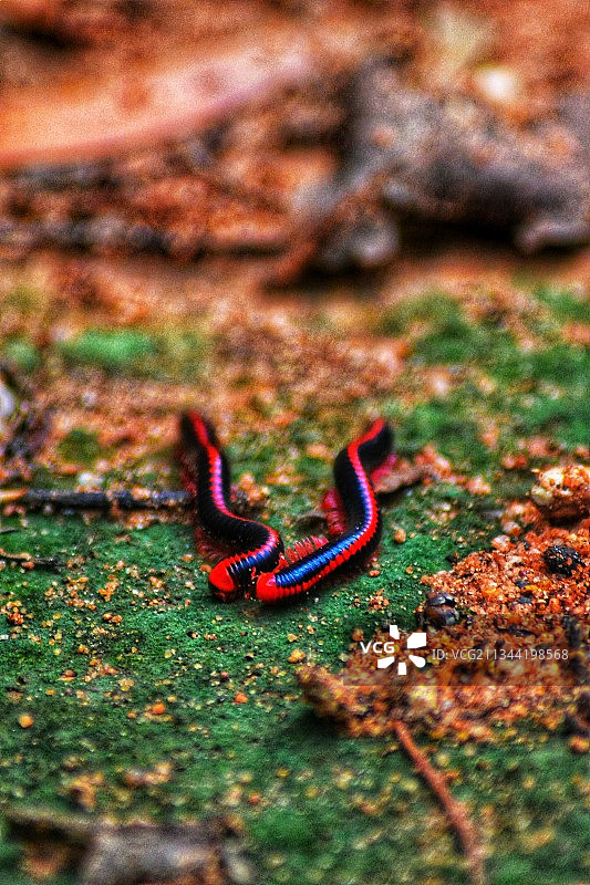 田野上的链条高角度视图图片素材
