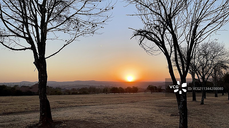 日落时分南非森图里昂布莱尔阿索尔高尔夫庄园的田野上光秃秃的树的轮廓图片素材