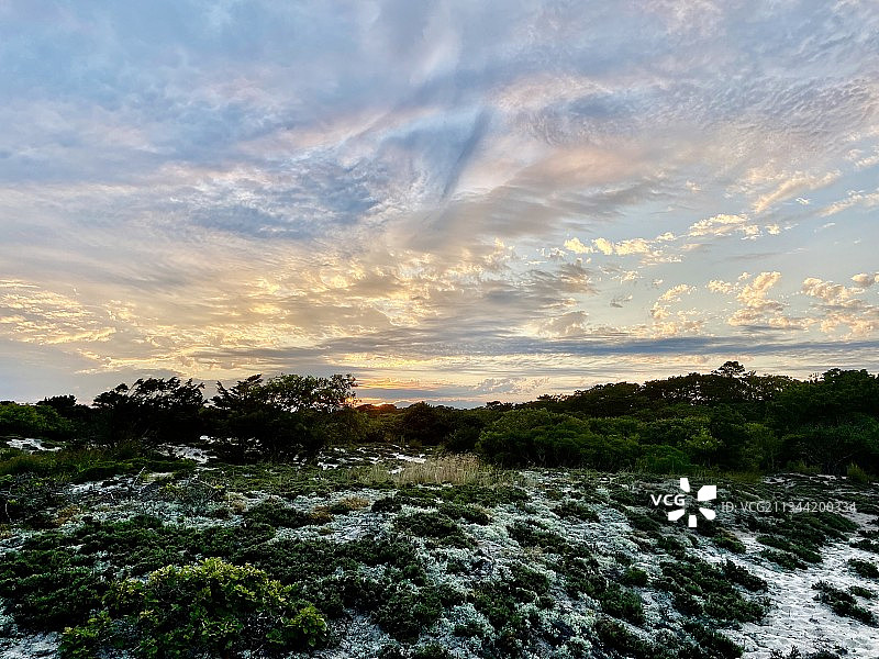 美国纽约州Amagansett日落时分的树木景色图片素材