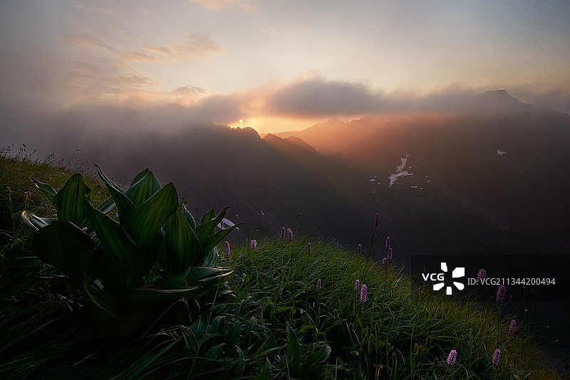 罗马尼亚日落时分田野风光图片素材