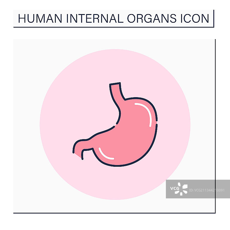 胃部彩色图标图片素材