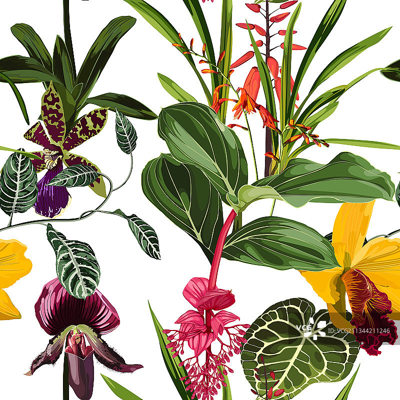 异域风情花卉无缝图案图片素材