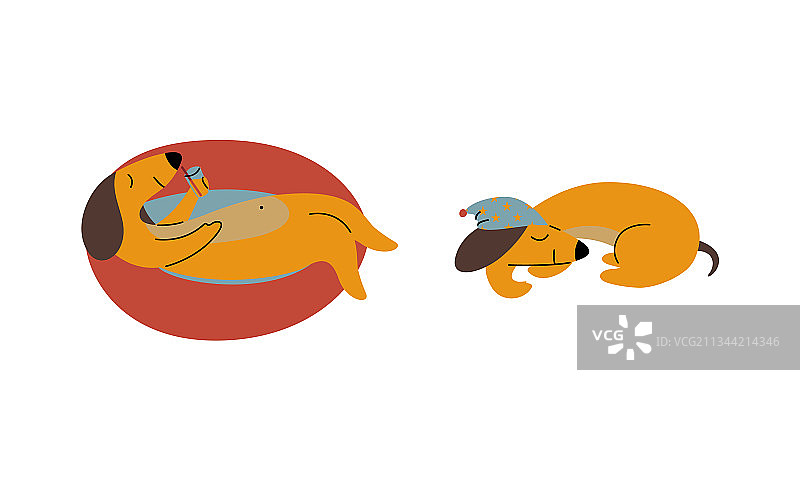 漫画棕色腊肠犬喝鸡尾酒图片素材