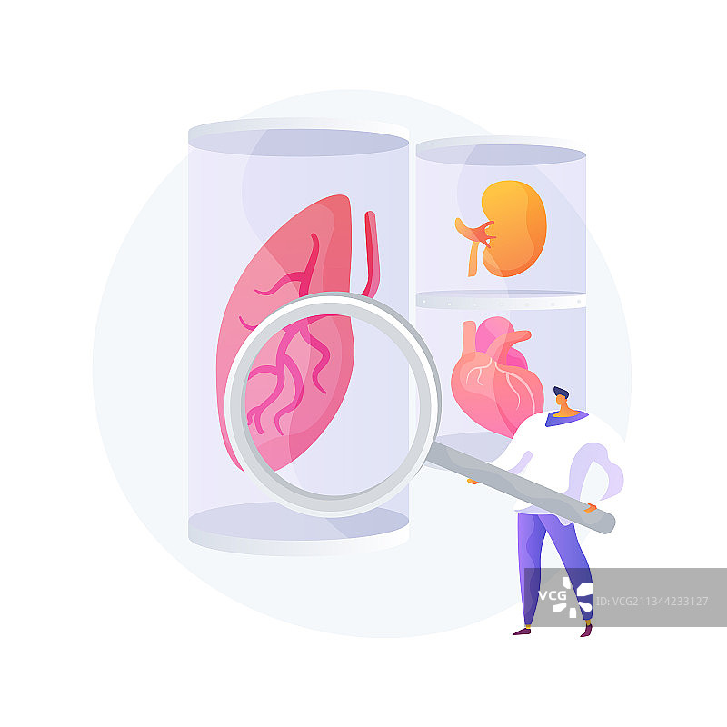 实验室培育器官抽象概念图片素材